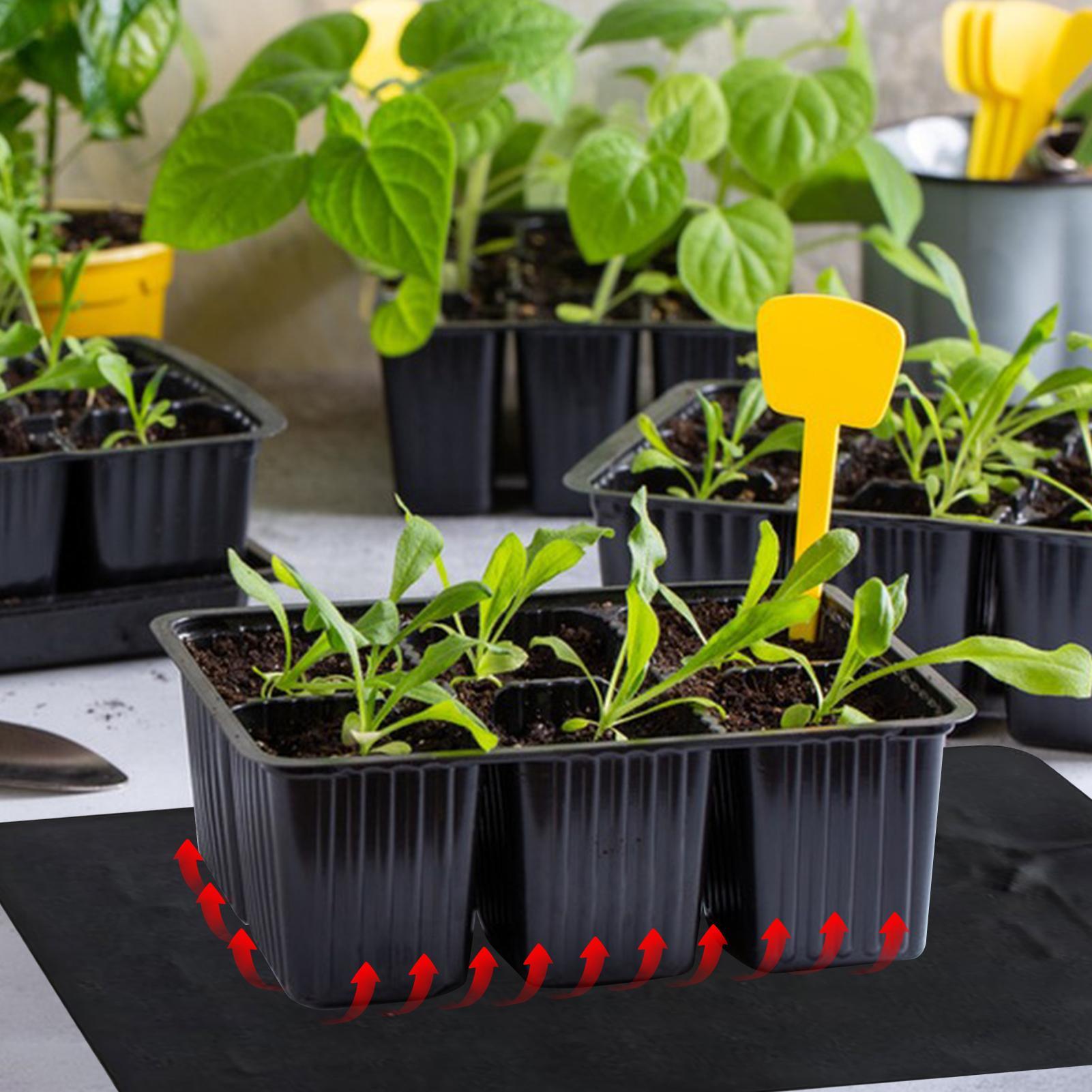 Tapete Aquecedor de Plantas co - Men'S Accessories Tray avaliação e preço