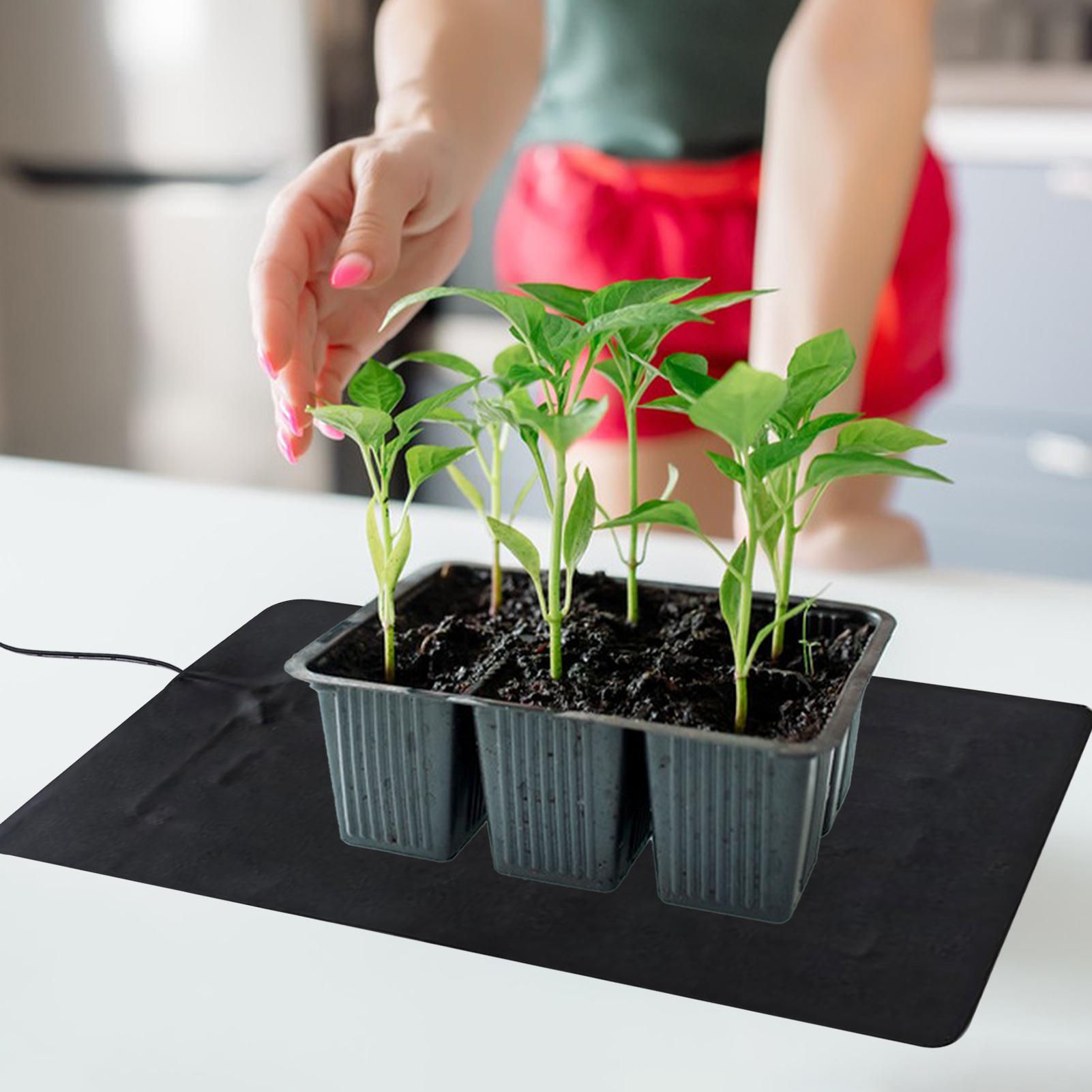 Tapete Aquecedor de Plantas co - Men'S Accessories Tray avaliação e preço
